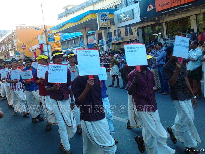 school-kalolsavam (78)